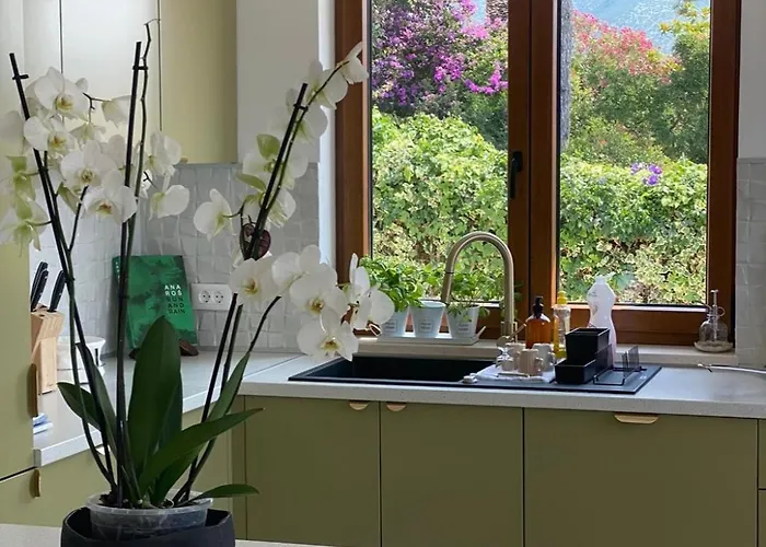 Marija - 5 M From The Sea 오레비츠